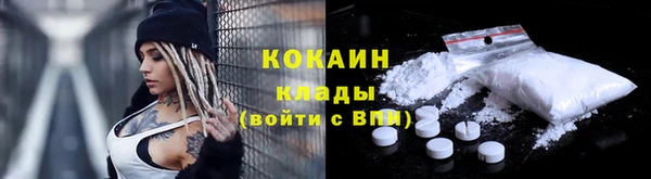 сатива Белоозёрский