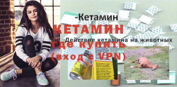 сатива Белоозёрский