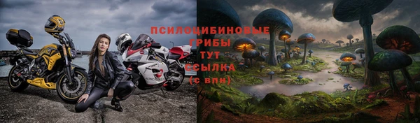 сатива Белоозёрский